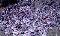 news_20260902_04.jpg